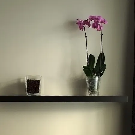 Apartmán Garbary Poznaň